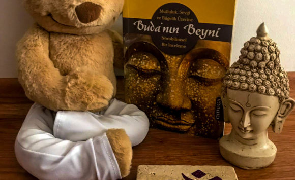 Tara Yoga Kütüphane Serileri – Haftanın Önerisi: Buda’nın Beyni